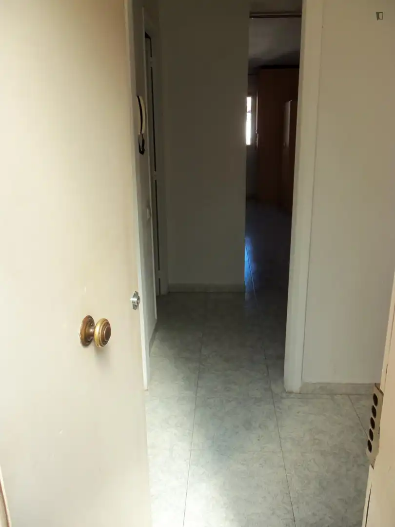 Estudio de alquiler en Barri Gòtic