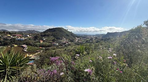 Photo 5 of Houses for sale in Vega de San Mateo, Las Palmas
