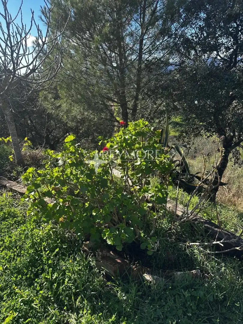 Houses for sale in Obejo  with Private garden, Terrace and Storage room