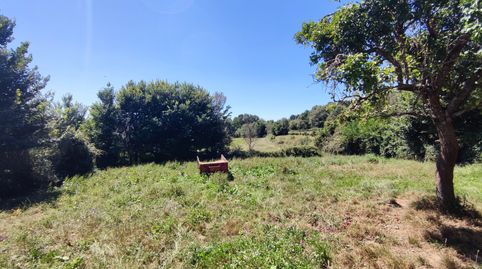 Foto 4 de Casa o chalet en venta en Riós, Ourense