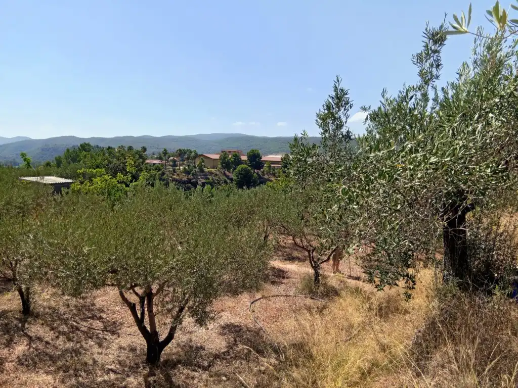 Country house zum Verkauf in Calles mit Privatgarten, Terrasse und Abstellraum
