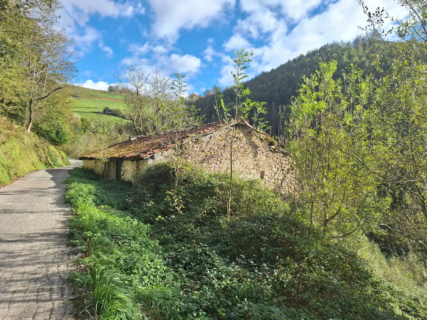 Country homes for sale in Deba