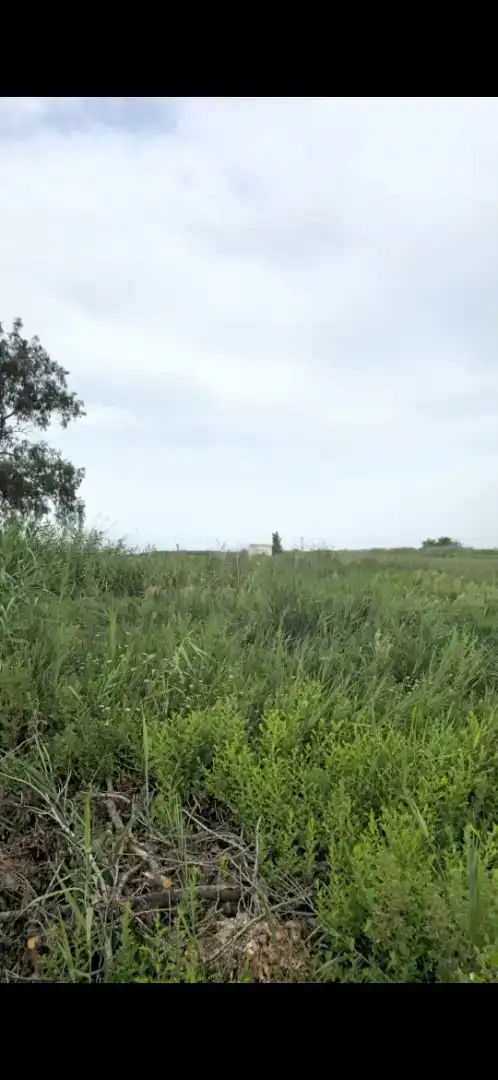 Finca rústica en venta en Massalfassar con Jardín privado, Trastero y Amueblado