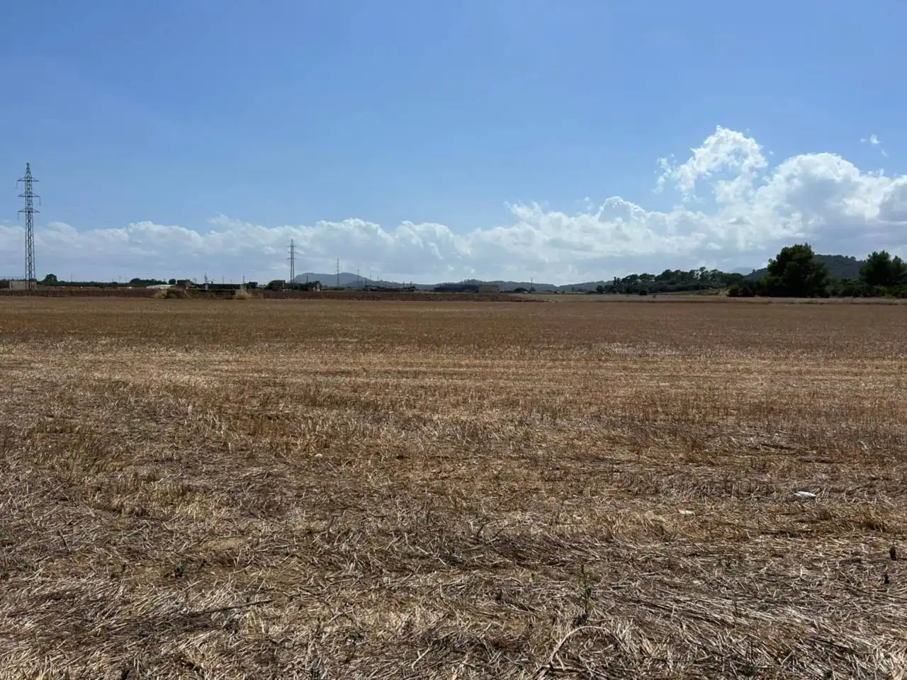 Wohnbaugrundstück zum Verkauf in Sa Pobla, imagen 7