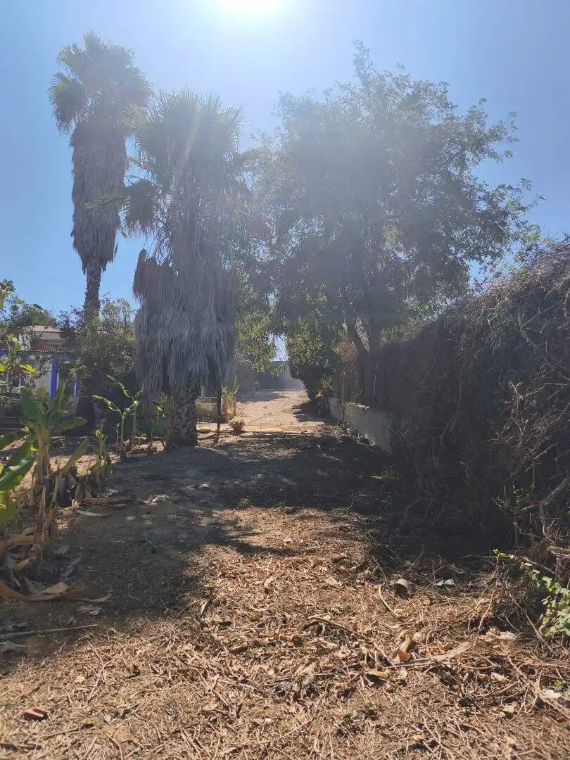 Houses for sale in Chipiona Norte