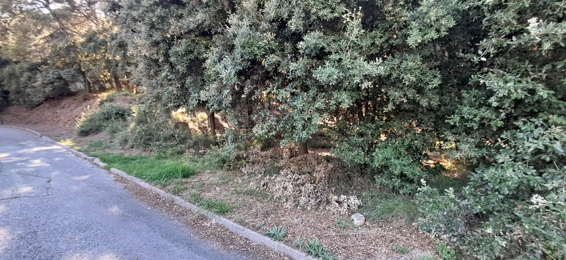 Wohnbaugrundstück zum Verkauf in Carrer de l'Oriol 12, imagen 6