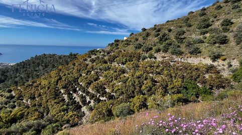 Foto 5 de Finca rústica en venta en El Rescate - Río Seco, Almuñécar