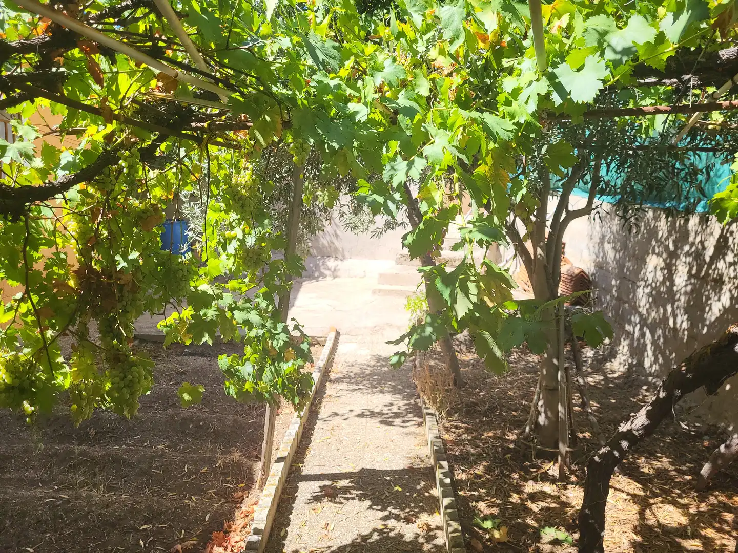 Jardí de Casa o xalet en venda en Burgohondo amb Jardí privat i Traster
