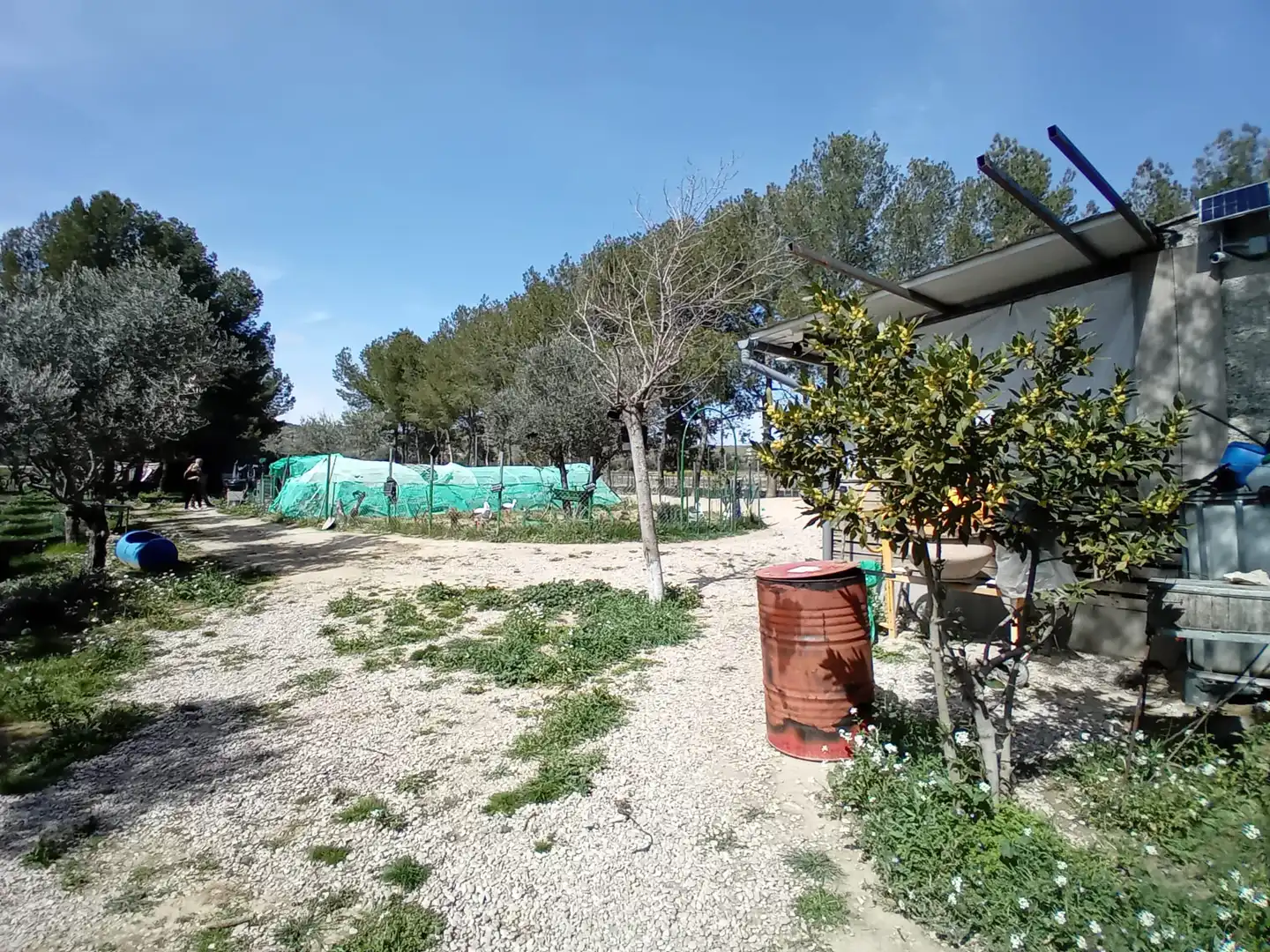 Casa rústica en venda a Calle Baja Azotea, imagen 35