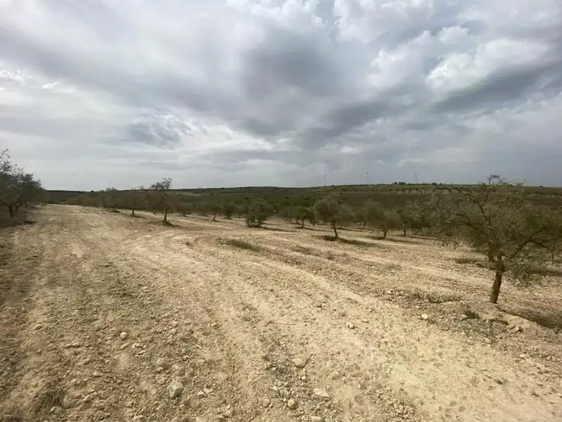 Casa rústica en venda a Padul, imagen 11