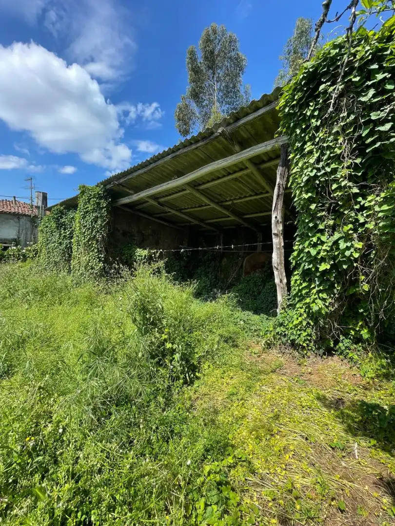 Houses for sale in Culleredo  with Private garden
