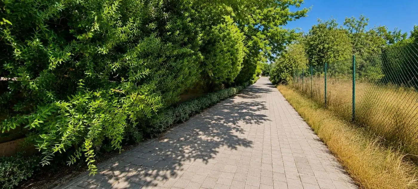 Vista exterior de Pis en venda en  Palma de Mallorca amb Aire condicionat, Terrassa i Traster