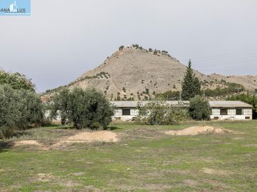 Terrenys i solars en venda a Camino Camino del Albarrate