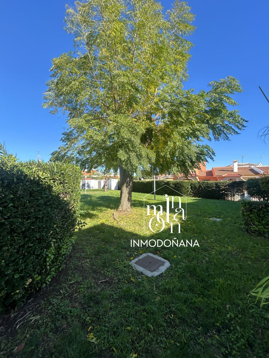 Vista exterior de Casa adosada en venda en Almonte amb Calefacció, Traster i Moblat