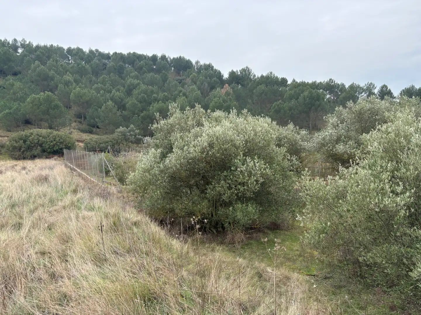 Terreno rústico en venta en Lardero, imagen 10