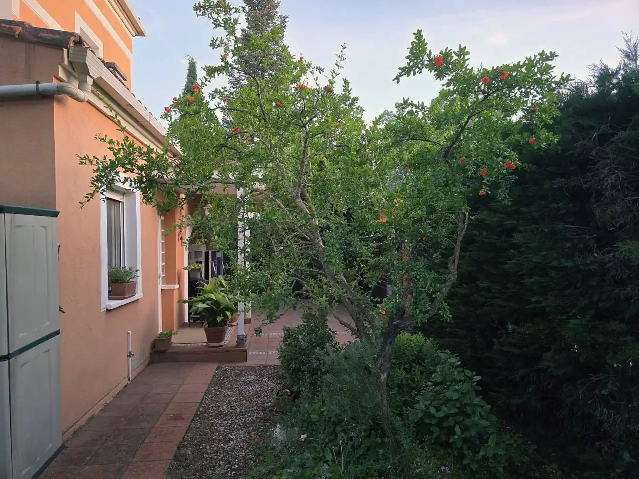 Jardín de Casa o chalet en venta en Cabanillas del Campo