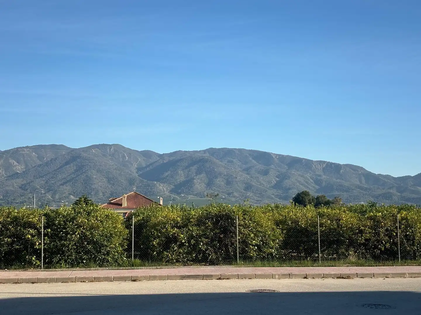 Terrenos y solares en venta en Calle Pedro de Mendoza, imagen 6