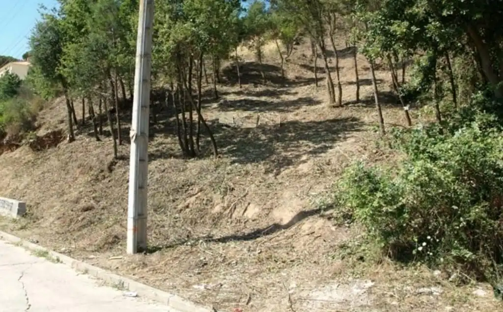 Terreny residencial en venda a Riells i Viabrea, imagen 3