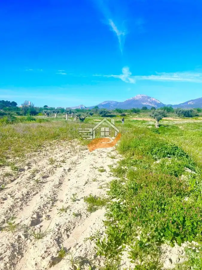 Lands and plots for sale in Pedanías Norte, imagen 41