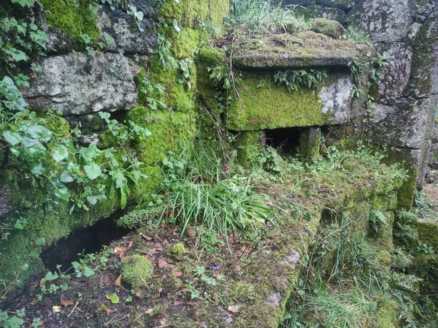 Terreno rustico in vendita a Ponte Caldelas, imagen 18
