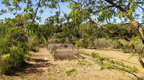 Photo 3 of Country house for sale in Posadas, Córdoba