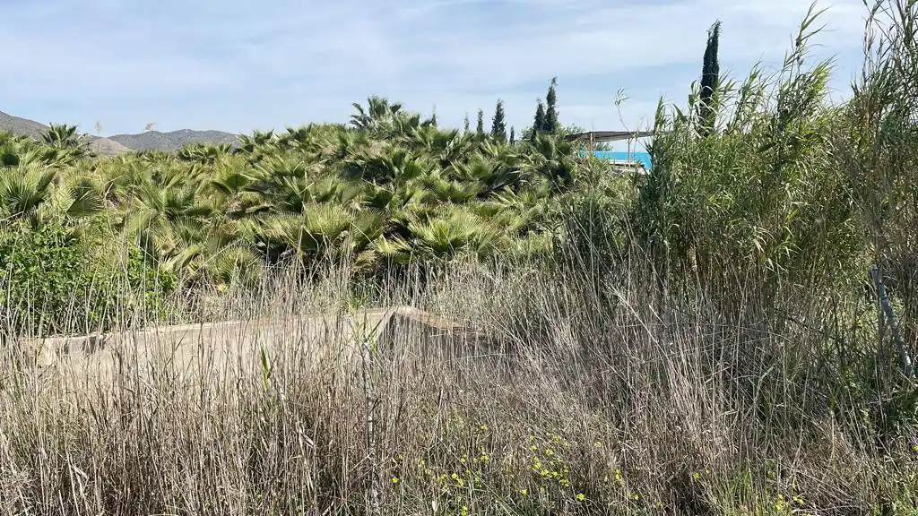 Terreno rustico in vendita a Casalpalma - Fahala, imagen 5