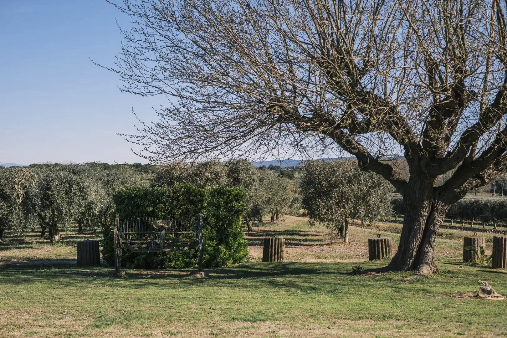 Jardín de Casa o chalet en venta en Llagostera con Calefacción, Terraza y Trastero