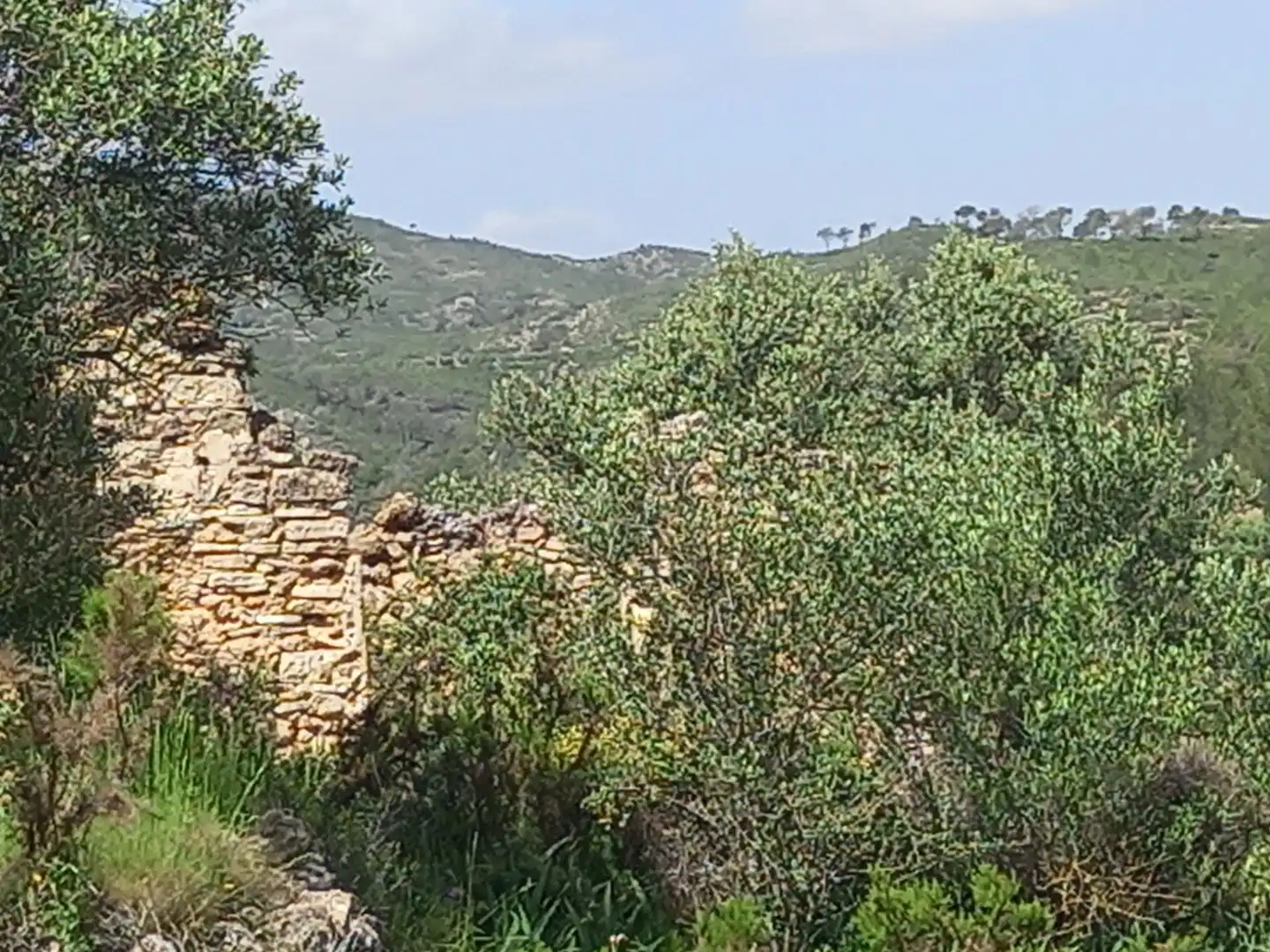 Terreny rústic en venda a Miravet, imagen 5
