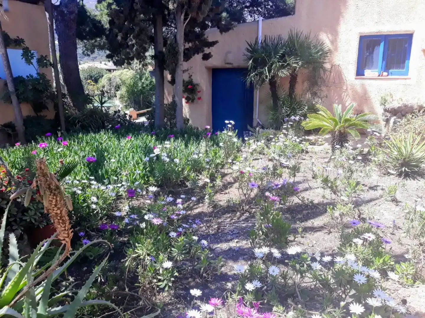 Garden of Flat for rent in Mojácar  with Air Conditioner, Private garden and Swimming Pool