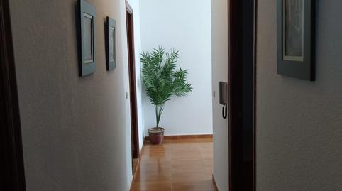 Foto 5 de Finca rústica en venda a Robledo, Albacete