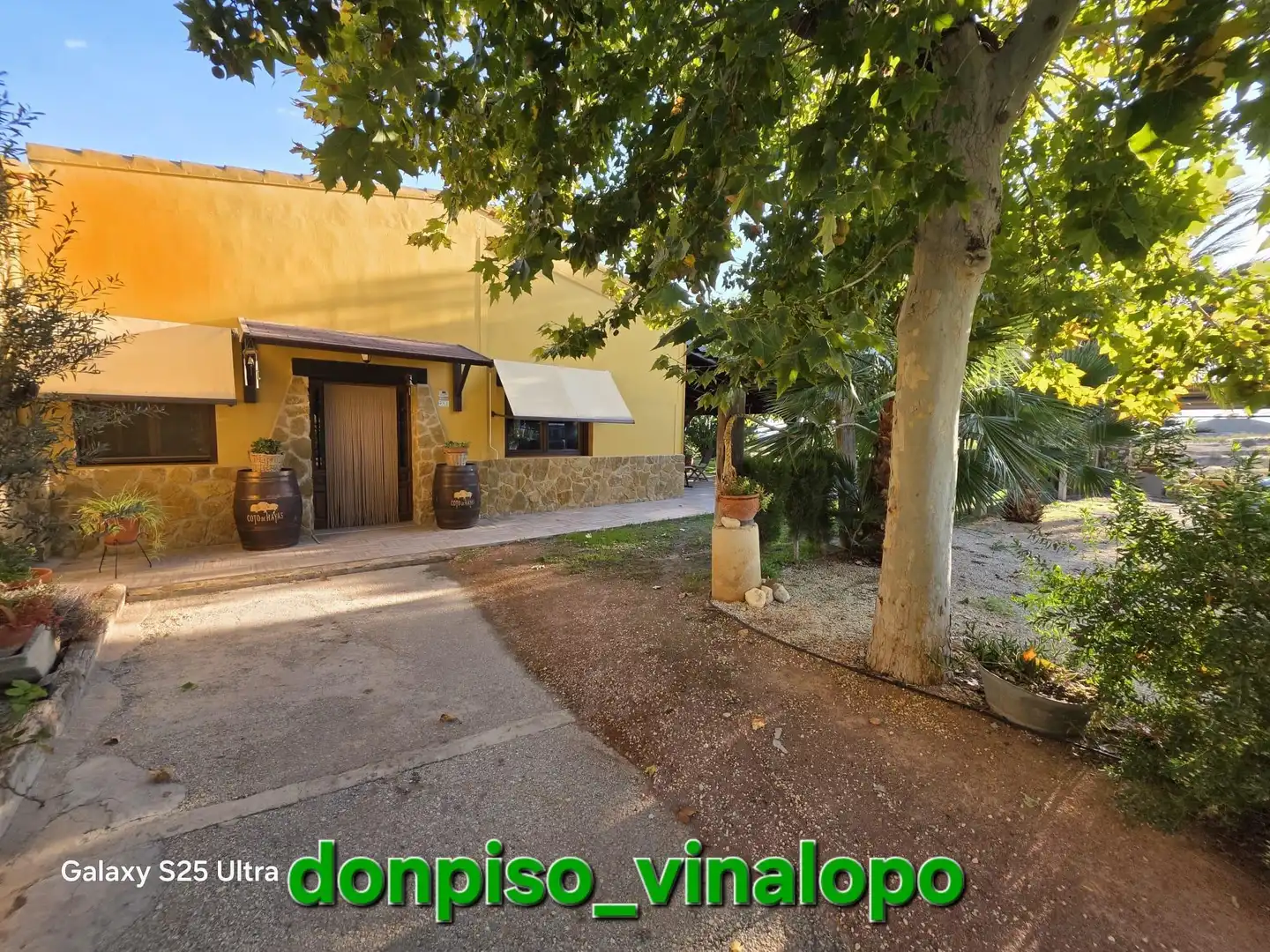 Vista exterior de Finca rústica en venta en Petrer, Alicante