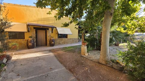 Finca Rústica en Pedreres Altes  Cotxinets Petrer, imagen 3