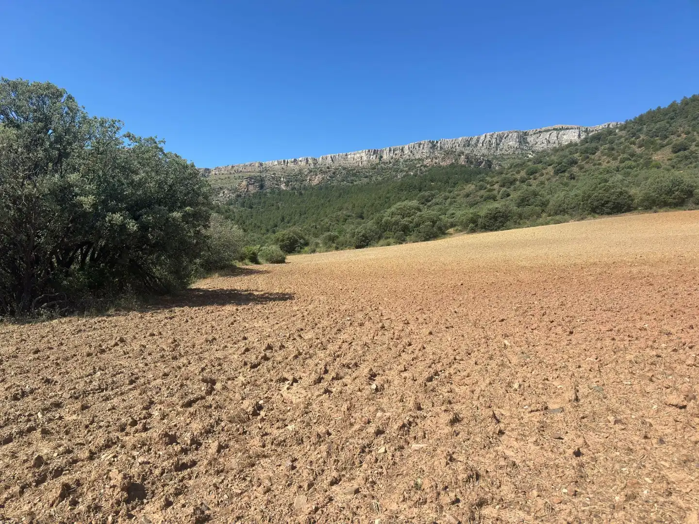Grundstücke zum Verkauf in Bádenas