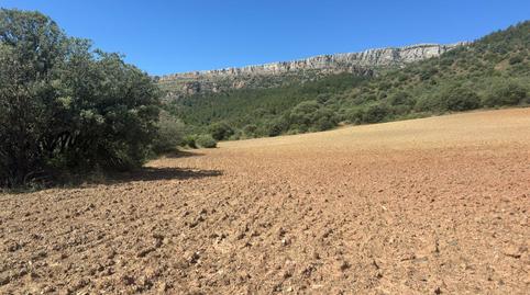 Foto 4 de Terreno en venta en 2 Parcela 270, Bádenas, Teruel
