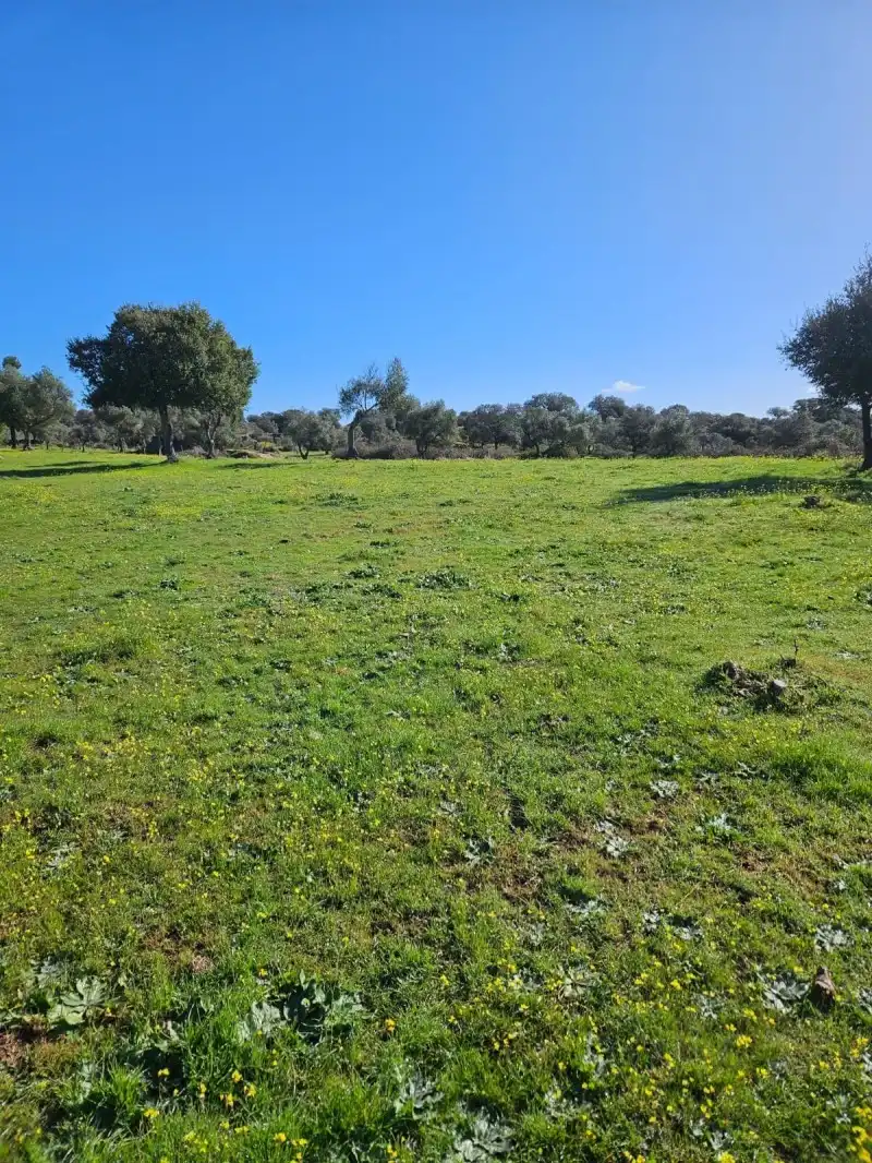 Terreni e lotti in vendita a Aldea del Cano, imagen 75
