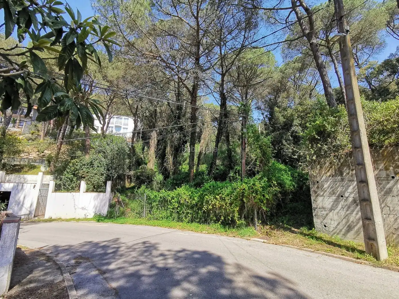 Terreny residencial en venda a Carrer Mil Pins 61, imagen 7