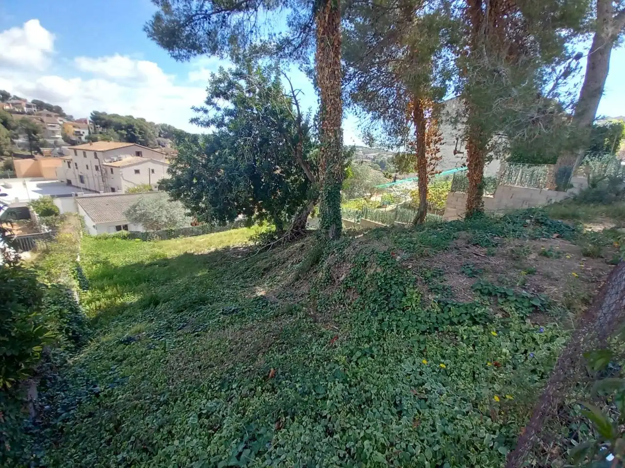 Terrain rustique à vendre à Calle HORTENSIA 13, imagen 5
