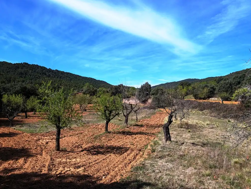 Terreni e lotti in vendita a Fuentespalda, imagen 15