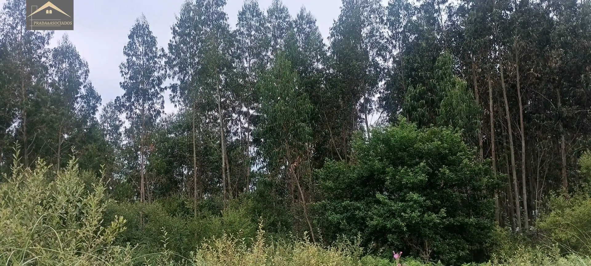 Terrenys i solars en venda a Cabezón de la Sal