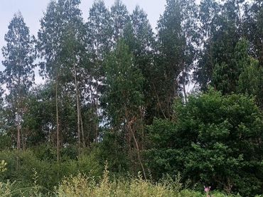 Terreni e lotti in vendita a Cabezón de la Sal