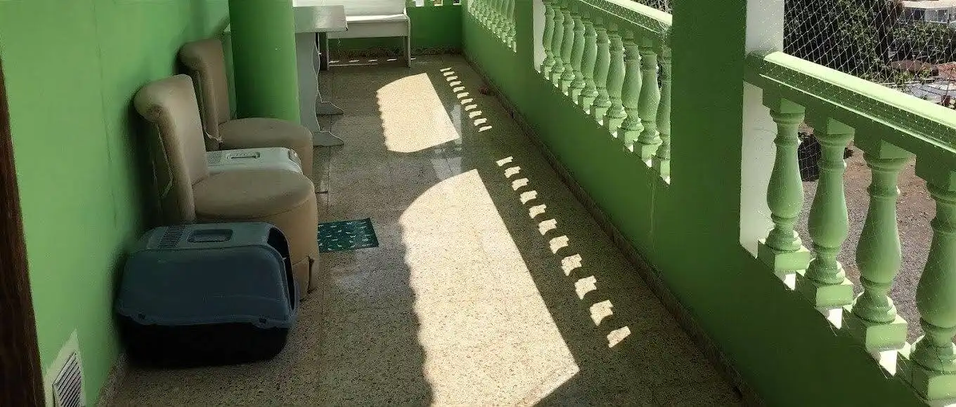 Terraza de Finca rústica en venta en San Bartolomé de Tirajana con Jardín privado, Terraza y Trastero