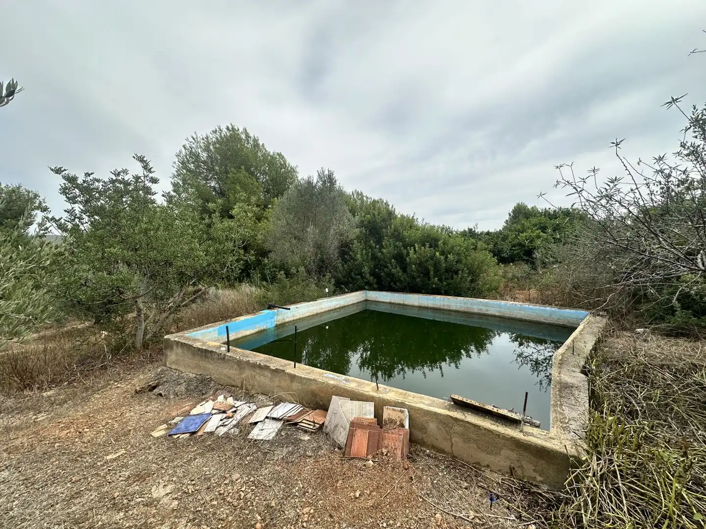 Xalet amb piscina en venda a Algar de Palància, imagen 4