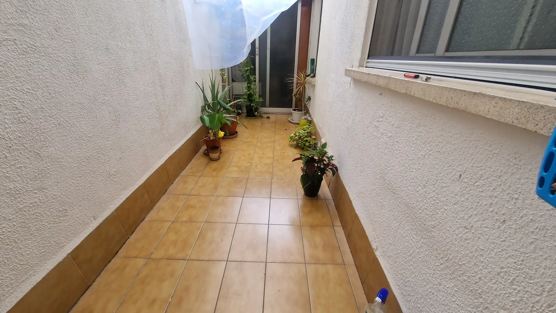 Piso con terraza en venta en Santa Rosa, imagen 15