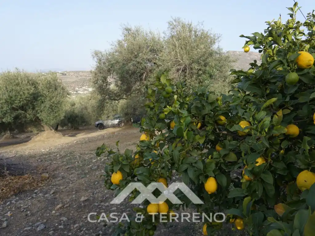 Casa en venta en Alcaucín, imagen 7