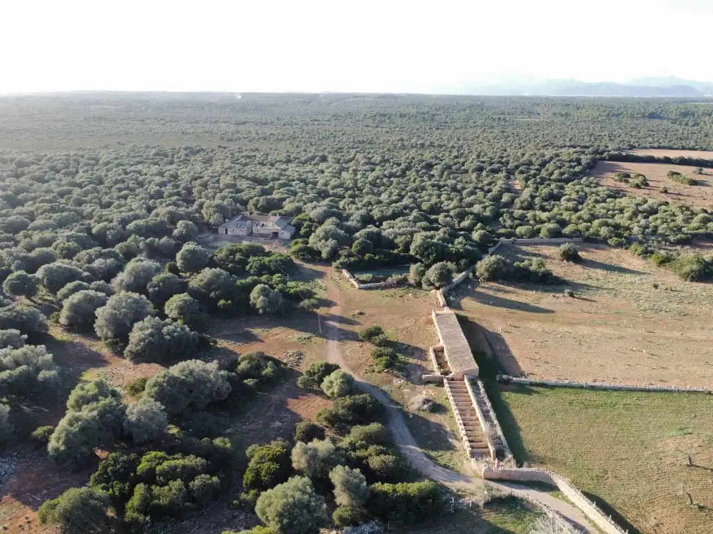 Finca rústica en venta en Santa Margalida