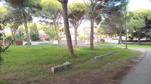 Foto 3 de Terreno en venta en Camino del Granado, 23, Las Lagunas - Campano, Cádiz