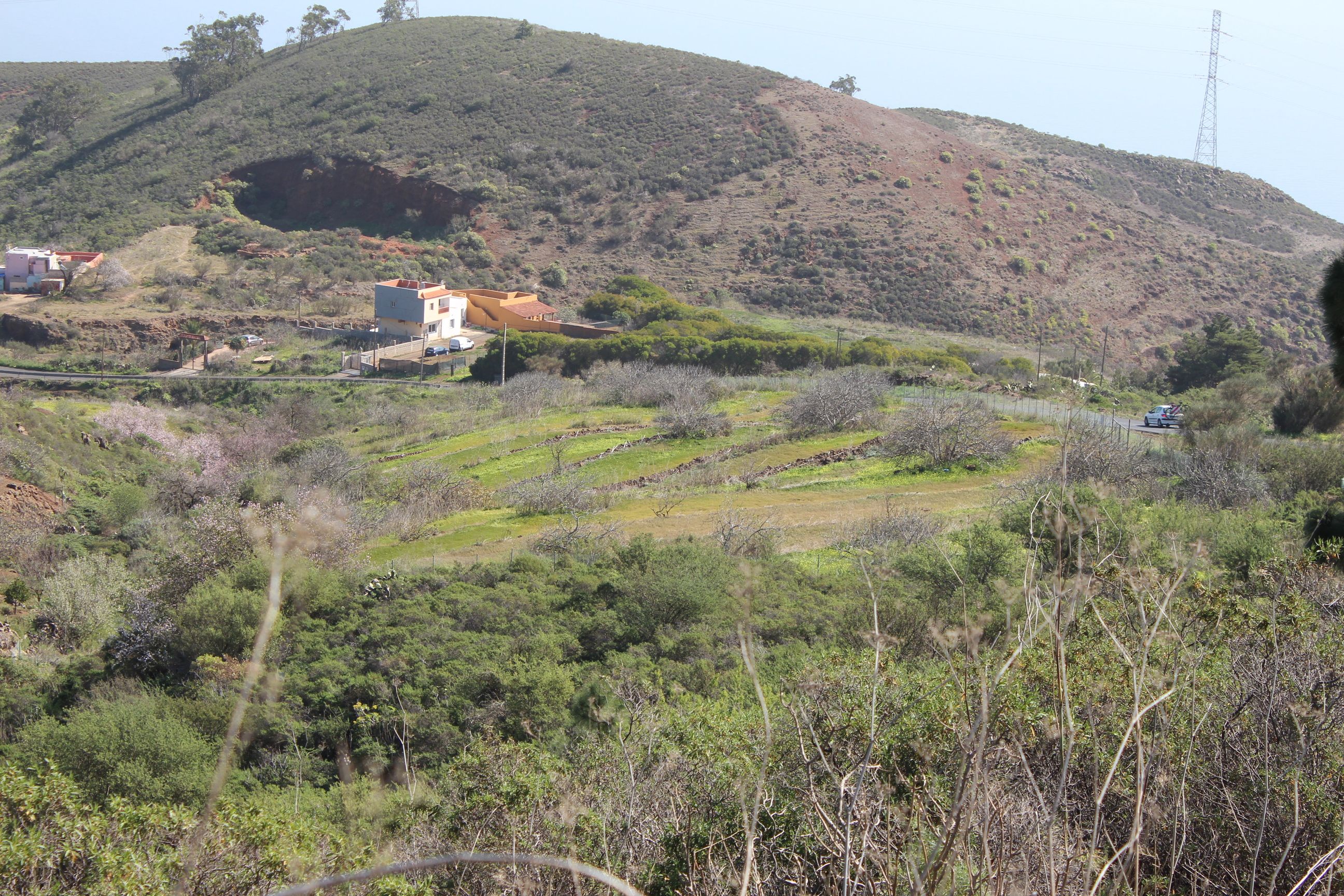 Land for sale in El Rosario