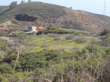 Terreny rústic en venda a Machado - Las Barreras
