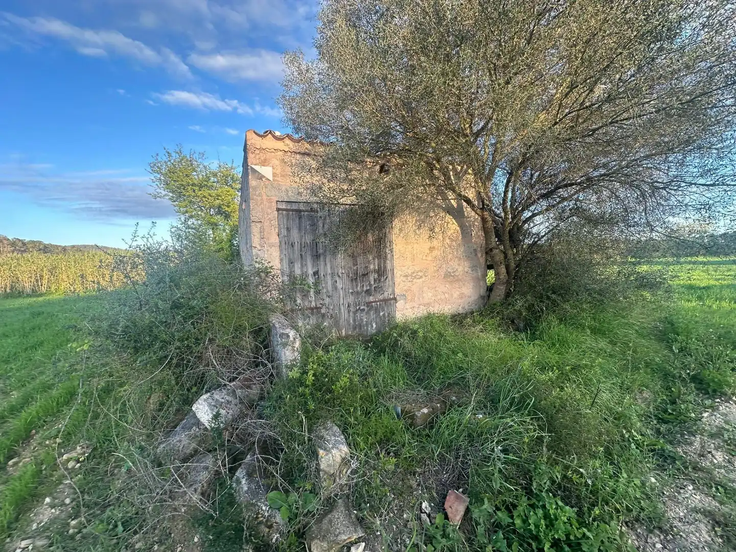 Terrain rustique à vendre à Sant Joan, imagen 4
