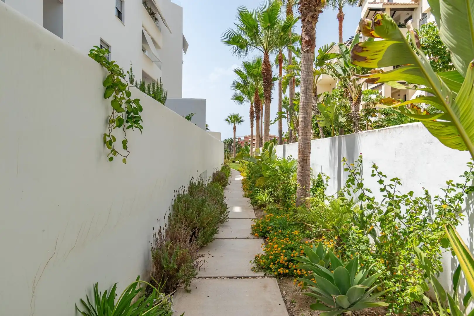 Wohnung mit Pool zum Verkauf in Calle Rector Federico Mayor Zaragoza, imagen 44